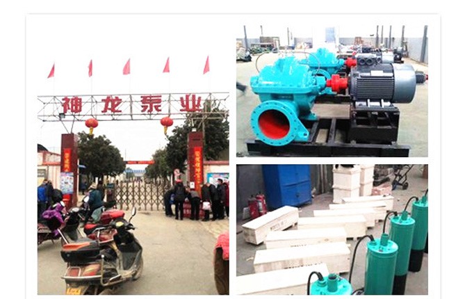 鄭州市神龍泵業(yè)有限公司2020年3月9日潛水泵<div   id=